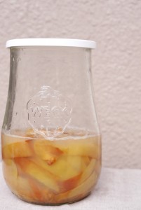 りんご酵母