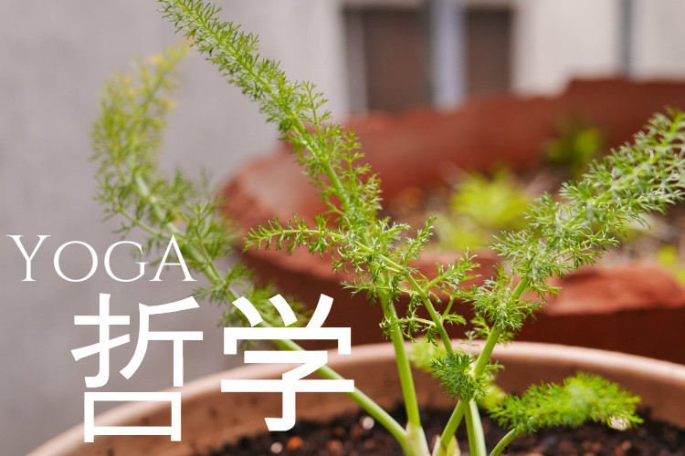 ヨガ哲学