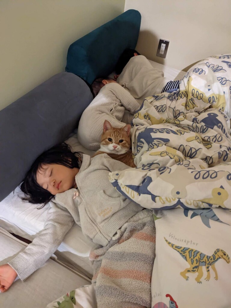 猫と子供は一緒に寝ます。